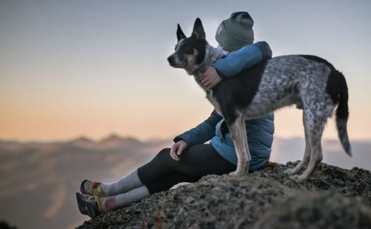 espana mascotas miembros de la familia