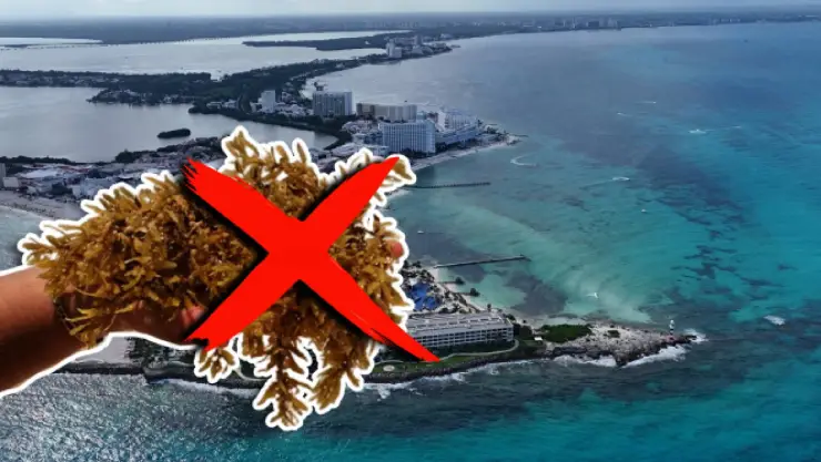 Playas sin sargazo en Cancún y todo Quintana Roo HOY 1 de abril de 2026: Aquí la lista COMPLETA