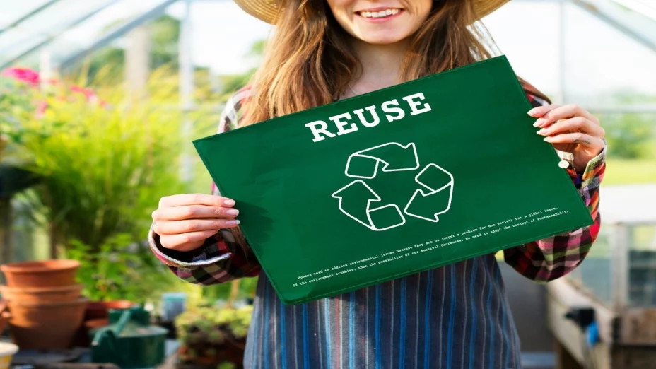 La importancia de la mentalidad verde en el emprendimiento.jpg