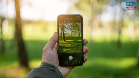 Rincones verdes de la CDMX a través de tu lente