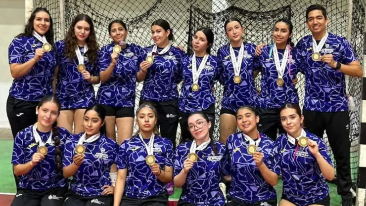 chihuahua handball.jpg