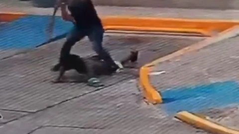 Captan momento en que sujeto amputa las manos de un hombre con una pala