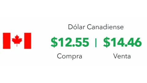 Precio del dólar hoy 25 de marzo 2025; tipo de cambio en México