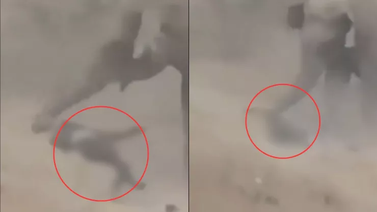 VIDEO | Hombre muere tras ser aplastado y arrojado brutalmente por un elefante
