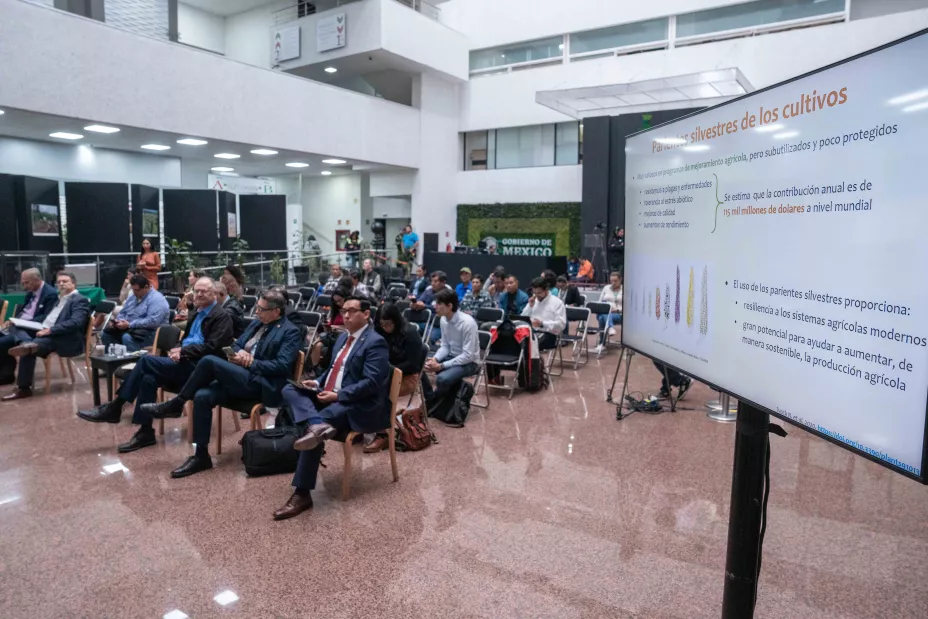 Sader 31 de agosto 2024.jpeg