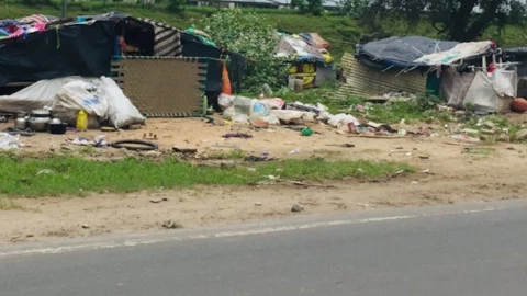 El niño que sólo ladraba: rescatado tras vivir ocho años con seis perros
