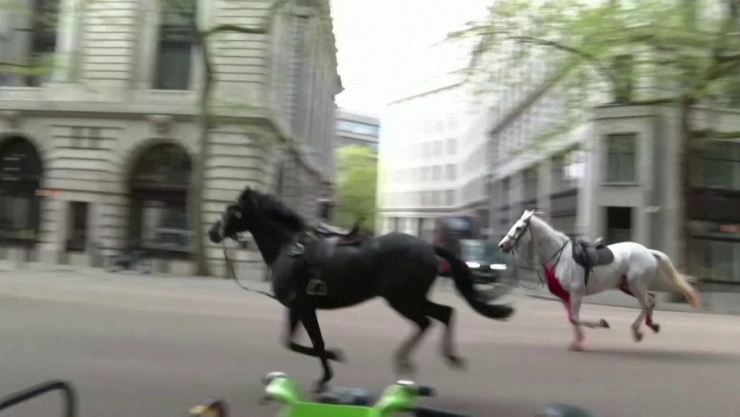 caballos-desbocados-londres-caballeria-real