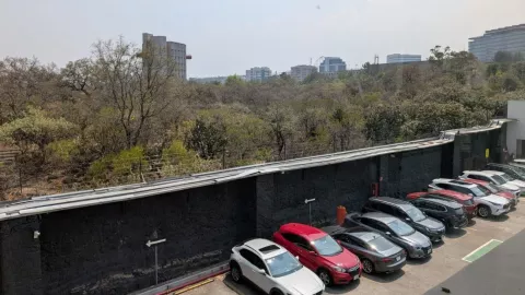 doble hoy no circula hoy.jpg