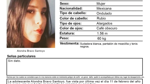 Alondra Bravo Santoyo