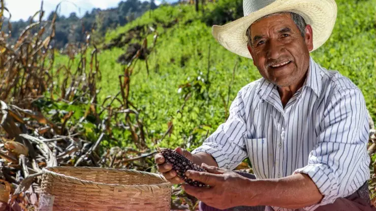 Descubre si eres beneficiario del programa Bienestar con estos pasos