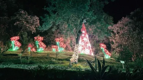 pueblitios magicos segun la ia