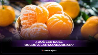 WhatsApp Image 2025-11-28 at 3.21.44 PM (1).jpeg