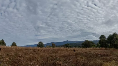 clima 26 de noviembre
