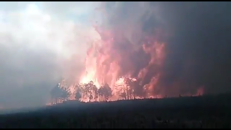 incendio en veracruz
