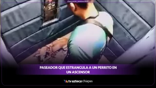 VIRAL: Paseador que estrangula a un perrito anciano en un ascensor en Brasil
