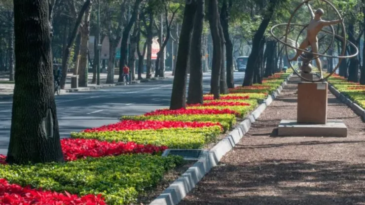 Llega el Festival Navide&ntilde;o en el Bosque de Chapultepec en CDMX, &iquest;cu&aacute;ndo ser&aacute;?