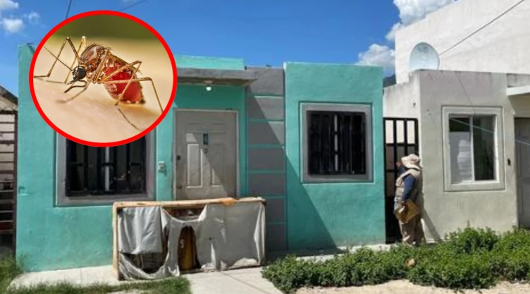 Niña muere por picadura de garrapata y dengue en Escobedo, Nuevo León