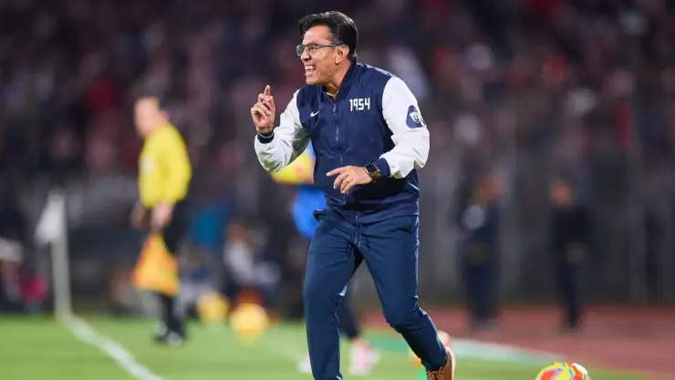 Pumas Alpizar