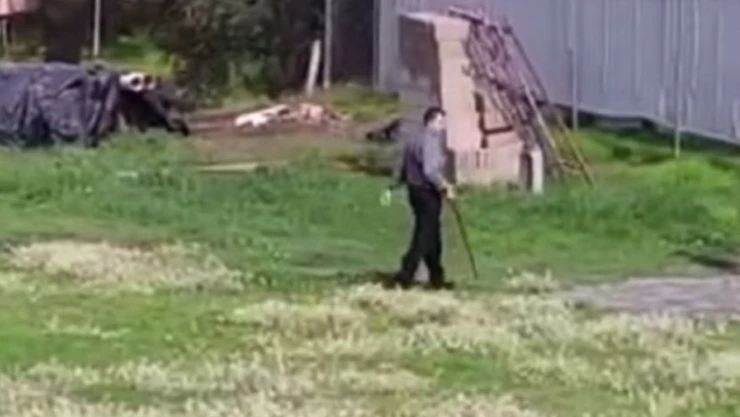 Tultepec perro funcionario .jpg