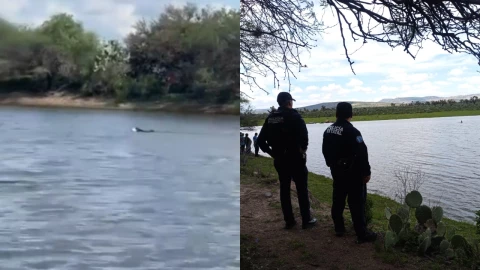 Perro intenta rescatar a su dueño de una Presa en Aguascalientes
