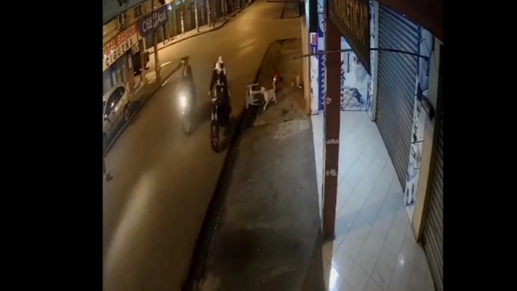 ladrones perro ecuador