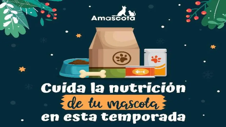 Cuida la nutrición de tu mascota en esta temporada.jpg