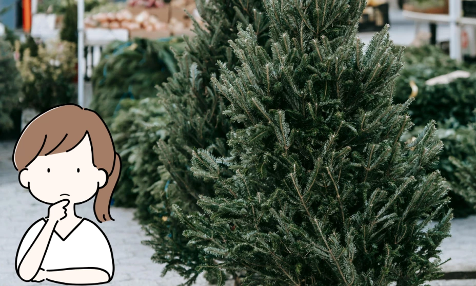 árbol de navidad (2).png