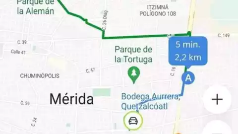 perro indriver merida