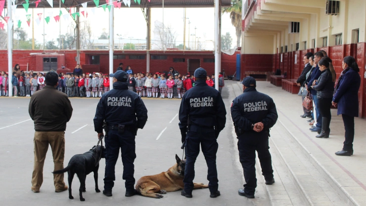 Federal police officers with sniffer dogs visit a school as part of an operation called “Safe Backpack”, organized by local authorities after a boy shot a teacher and wounded several students in a private school, in Torreon
