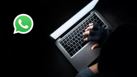 WhatsApp, mensaje, informaci&oacute;n.jpg