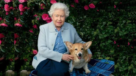 &iquest;Qui&eacute;n se qued&oacute; los perros corgi de la Reina Isabel II tras su muerte?.jpeg