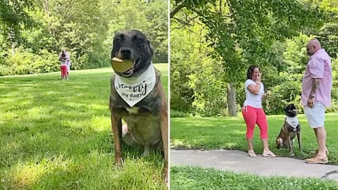 perrito_dueno_matrimonio