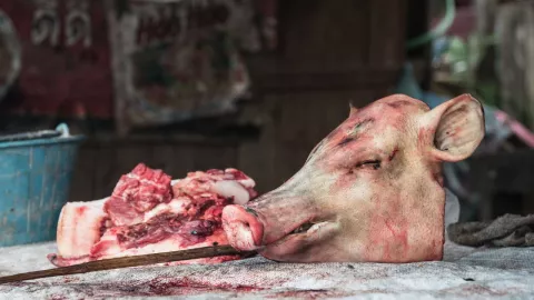 Niegan amparo a mujer que justificaba inmolación de animales en la santería