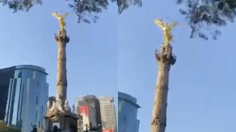 VIDEO: Así se movió el Ángel de la Independencia en CDMX con el sismo de HOY que activó la alerta sísmica