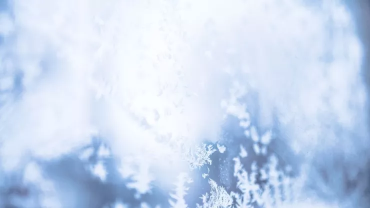 Pronostican caída de nieve en Coahuila martes 21 de enero 2025