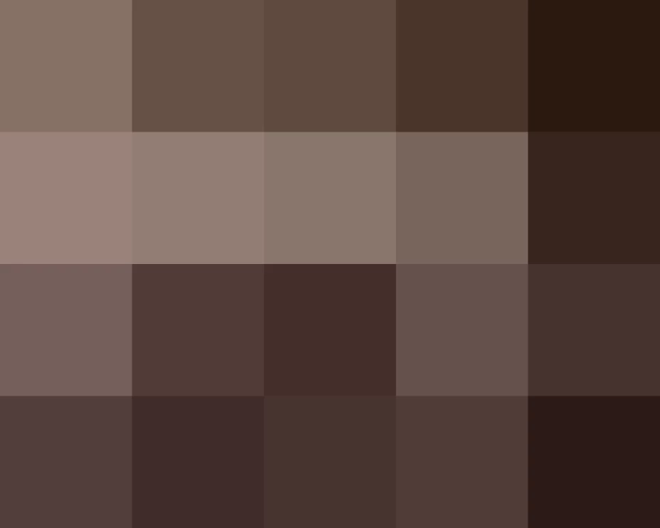 Evo Morales, presidente de Bolivia