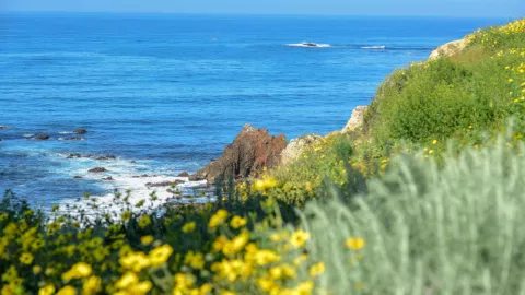 Vista de la península de Palos Verdes, en California.