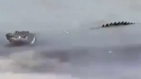 “Acechando” Así captan a cocodrilo en playa de Cancún y el momento se viraliza