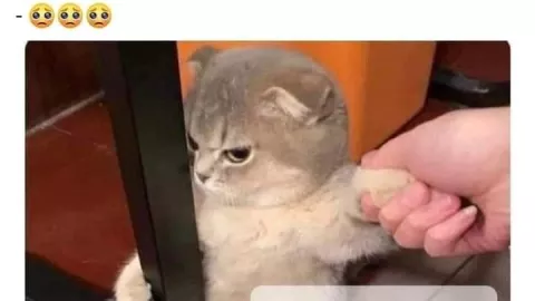 Feliz Día del Maestro: Los mejores memes de este 15 de mayo