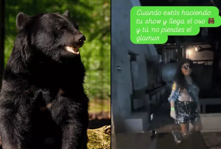 Viral Mujeres mientras disfrutaban de una fiesta recibieron la visita de un oso.png