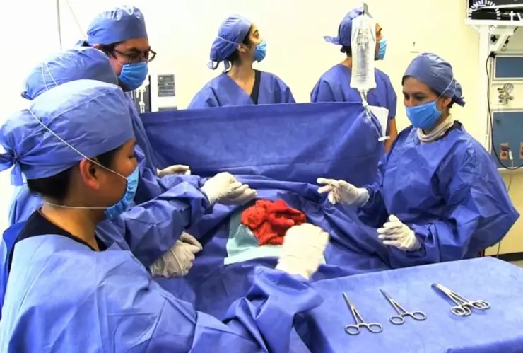 enfermería unam doctorado