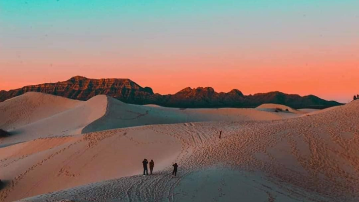 Desierto de Samalayuca.jpg