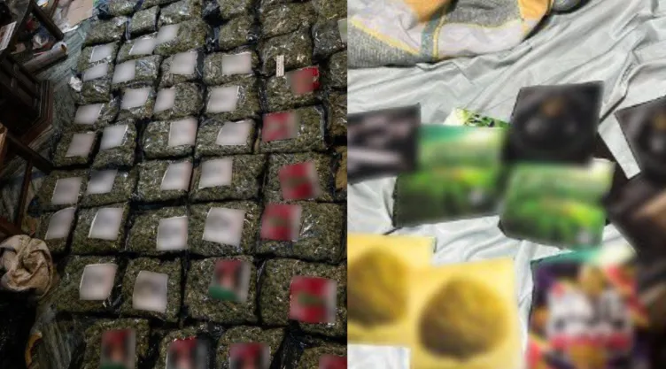 Catean predio con más de 50 kilos de marihuana en Venustiano Carranza: Modus operandi en CDMX