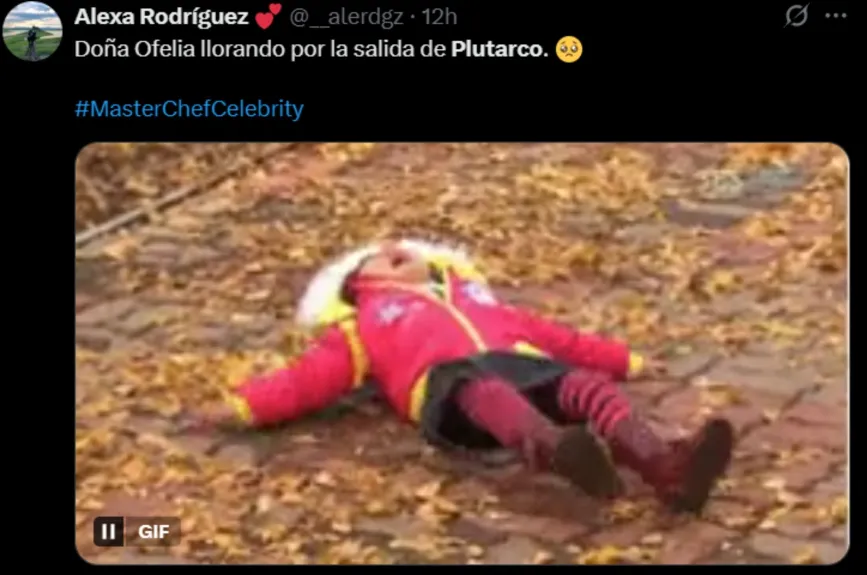 Ofelia Medina fue una de las más afectadas por la eliminación de Haza, ya que crearon una increíble mancuerna dentro de la cocina y el actor no dudó en protegerla en todas las ocasiones que pudo.