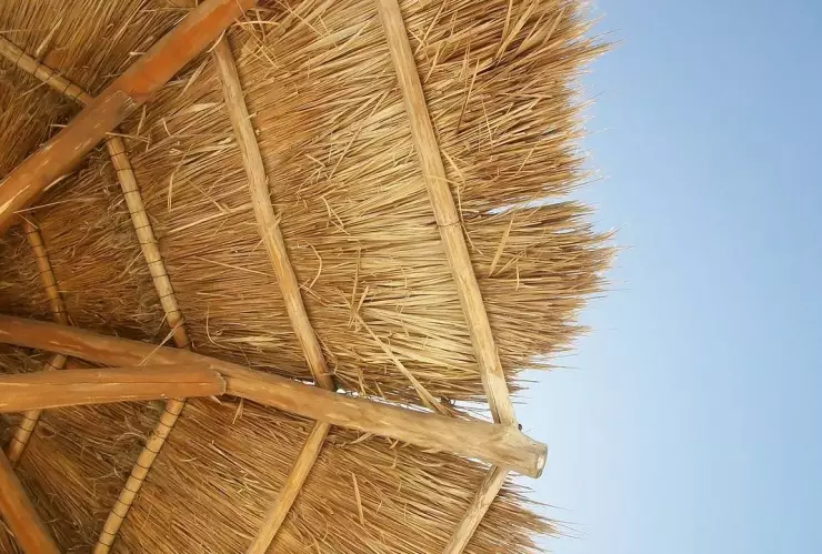 palapa.jpg