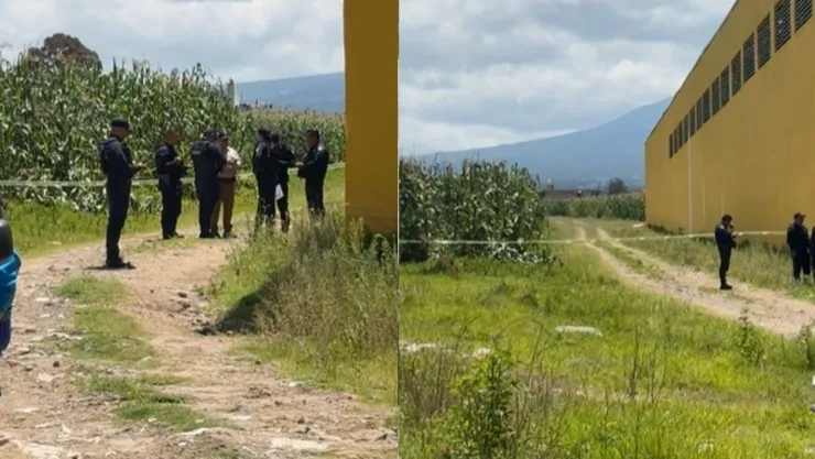 cuerpo vía corta