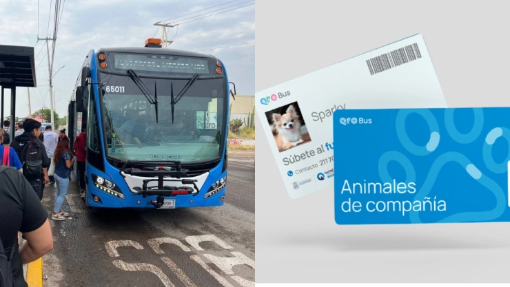 Qrobus.