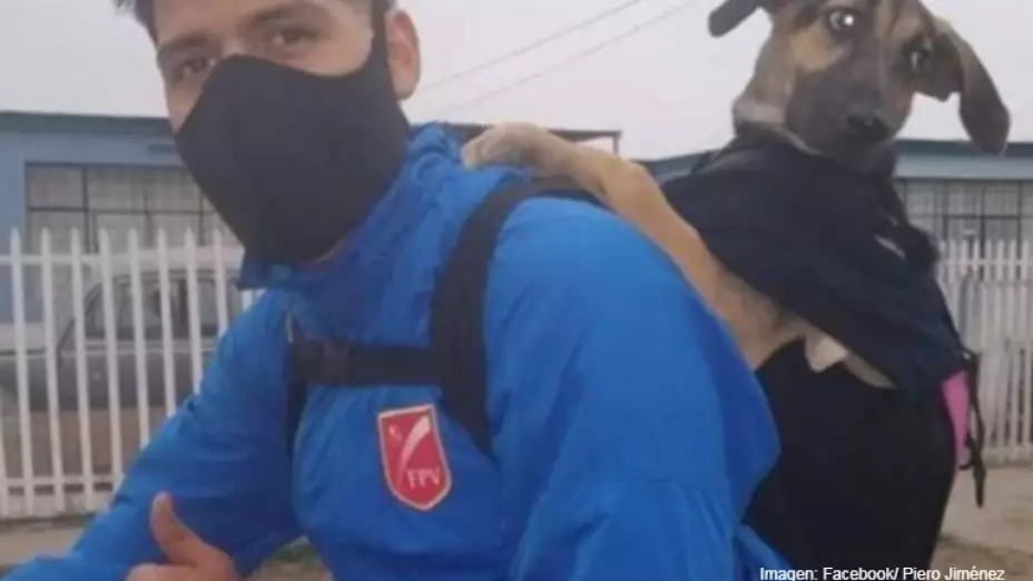 joven perrita covid 19.jpg