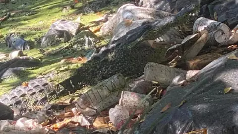 Hallan a cocodrilo escondido en la basura (FOTOS)