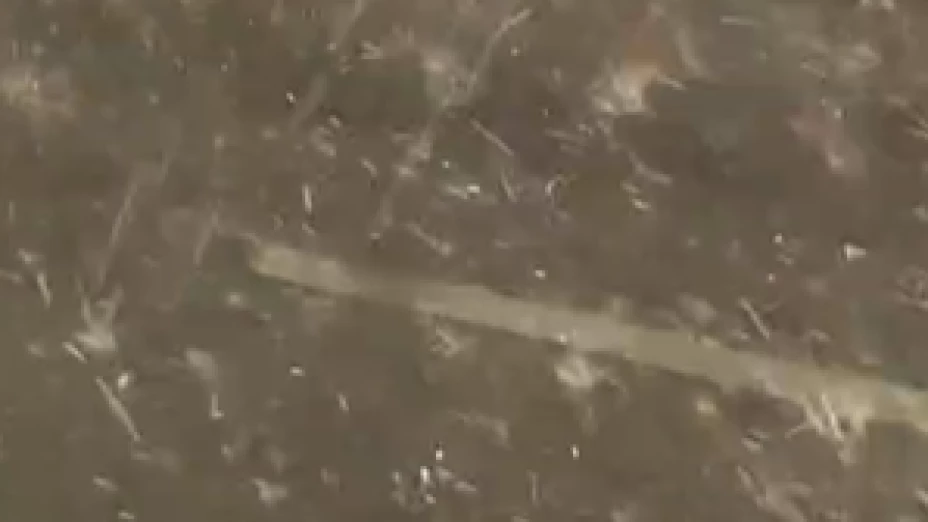 Captura de pantalla 2025-08-12 205419.png